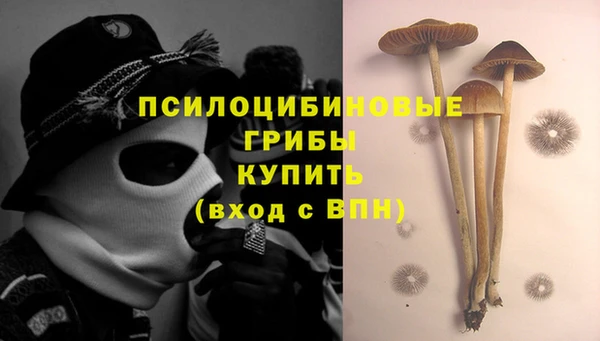 прущая мука Арсеньев