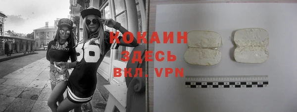 индика Алексин