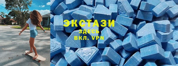 индика Алексин