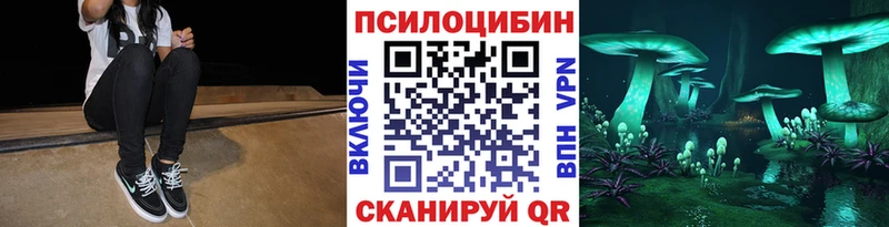 Псилоцибиновые грибы Cubensis  Купить закладки  Стрежевой 